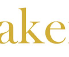 Baker Ing International Limited