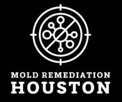 Mold Remediation Houston