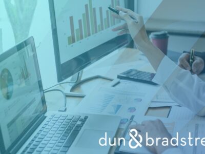 A Beginners Guide to Business Credit Reports in Egypt
