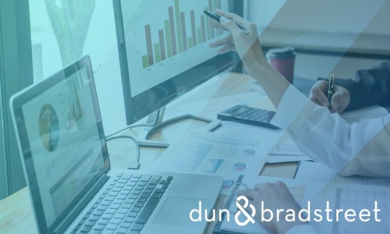 A Beginners Guide to Business Credit Reports in Egypt