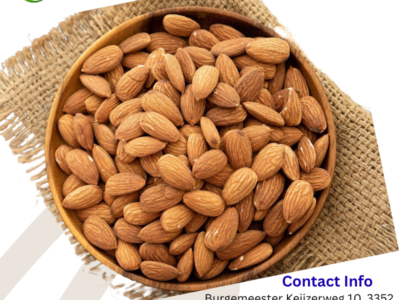 Buy Nuts Online