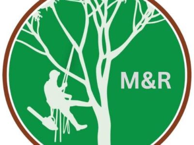 MR