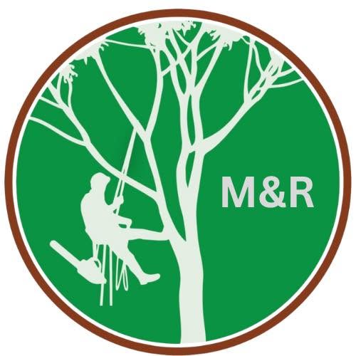 MR