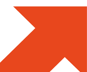 logo bbd