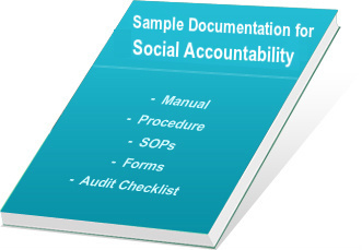 sa8000 document