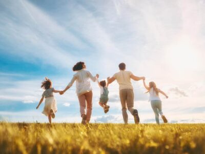 taxwise cover image